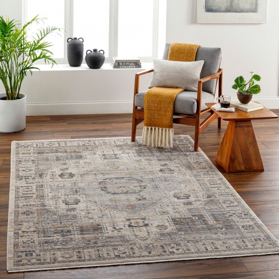 Surya Aida Aad-2307 Rug 2'7" X 4'11"