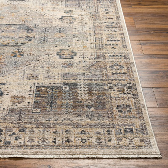 Surya Aida Aad-2307 Rug 2'7" X 4'11"