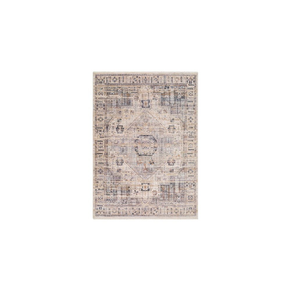 Surya Aida Aad-2307 Rug 3'11" X 5'10" Surya Aida Aad-2307 Rug 3'11" X 5'10"