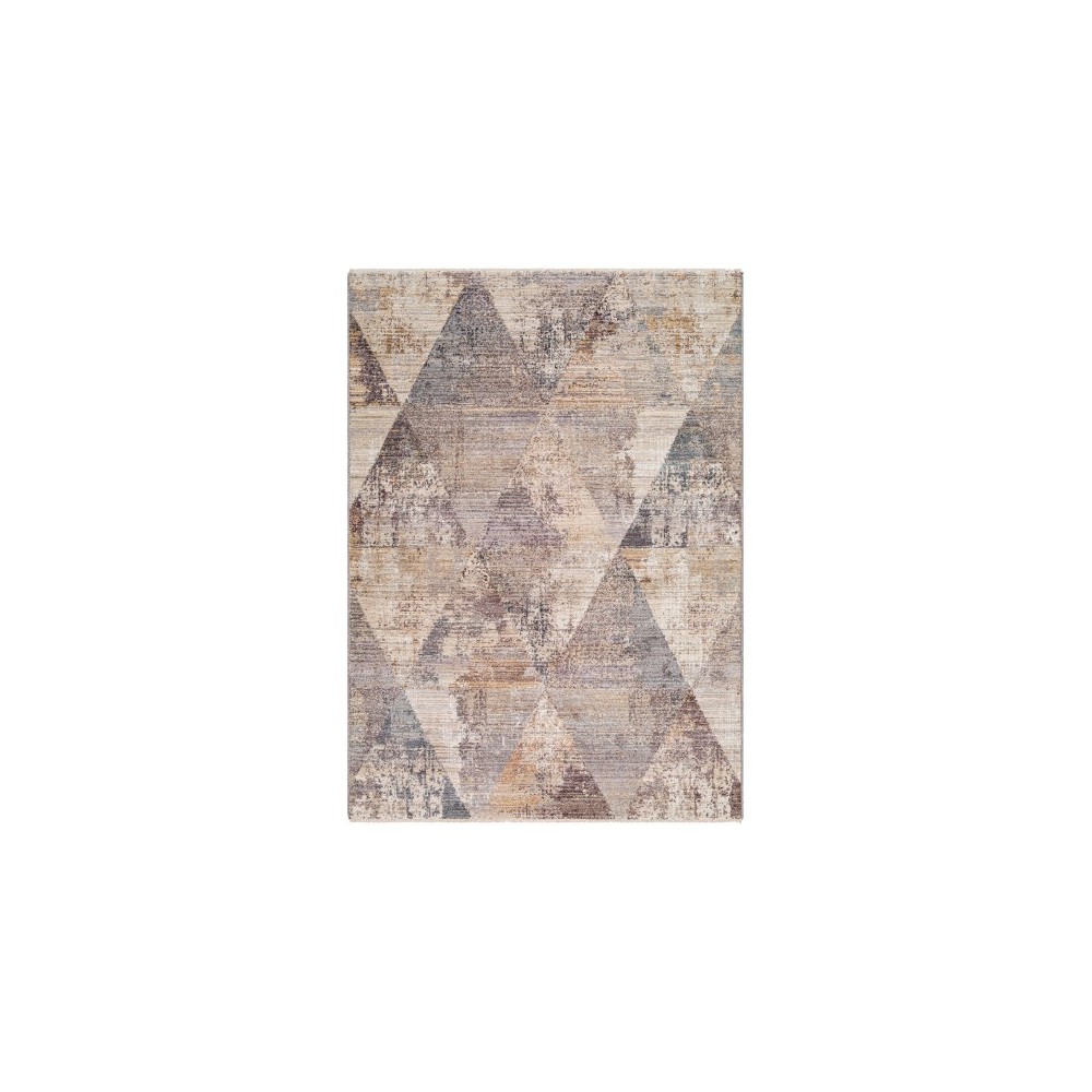 Surya Aida Aad-2308 Rug 2'7" X 4'11"