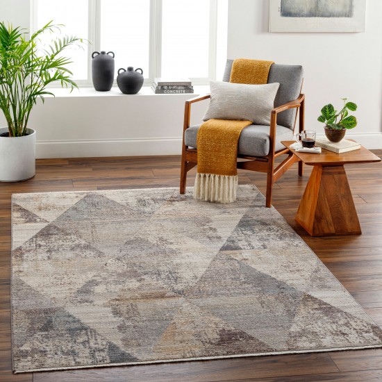 Surya Aida Aad-2308 Rug 2'7" X 9'