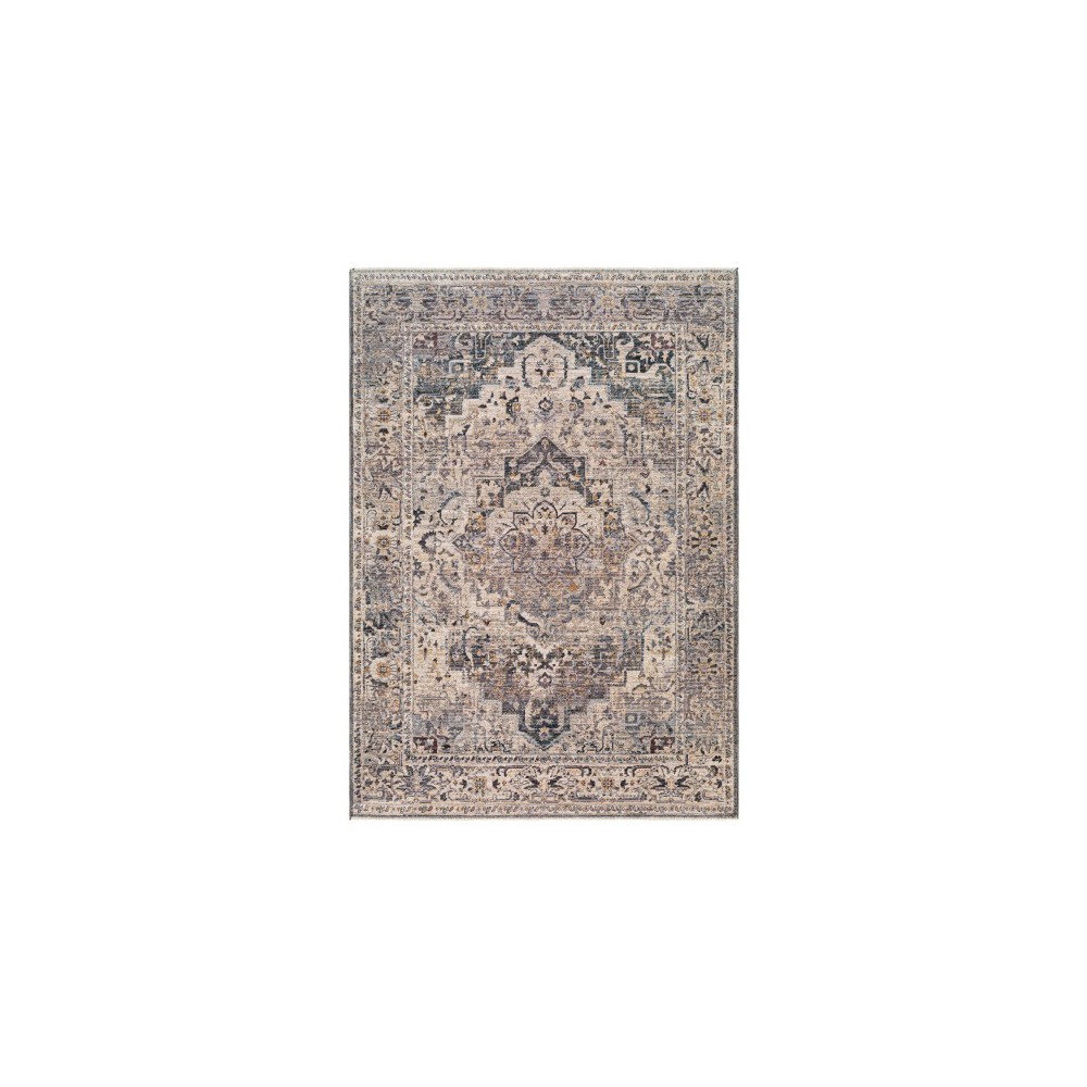 Surya Aida Aad-2311 Rug 2' X 2'11"