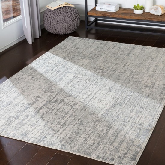 Surya Aisha Rug 5'3" Round - Light Gray