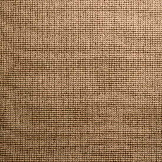 Addison Rugs Jaxon AJX33 Tan 9' x 13' Rug