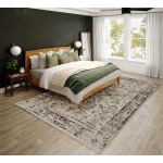 Addison Rugs Nelson ANE34 Gray 7'10" x 10' Rug