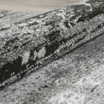 Addison Rugs Platinum OSPL37 Grey 3'3" x 5'3" Rug
