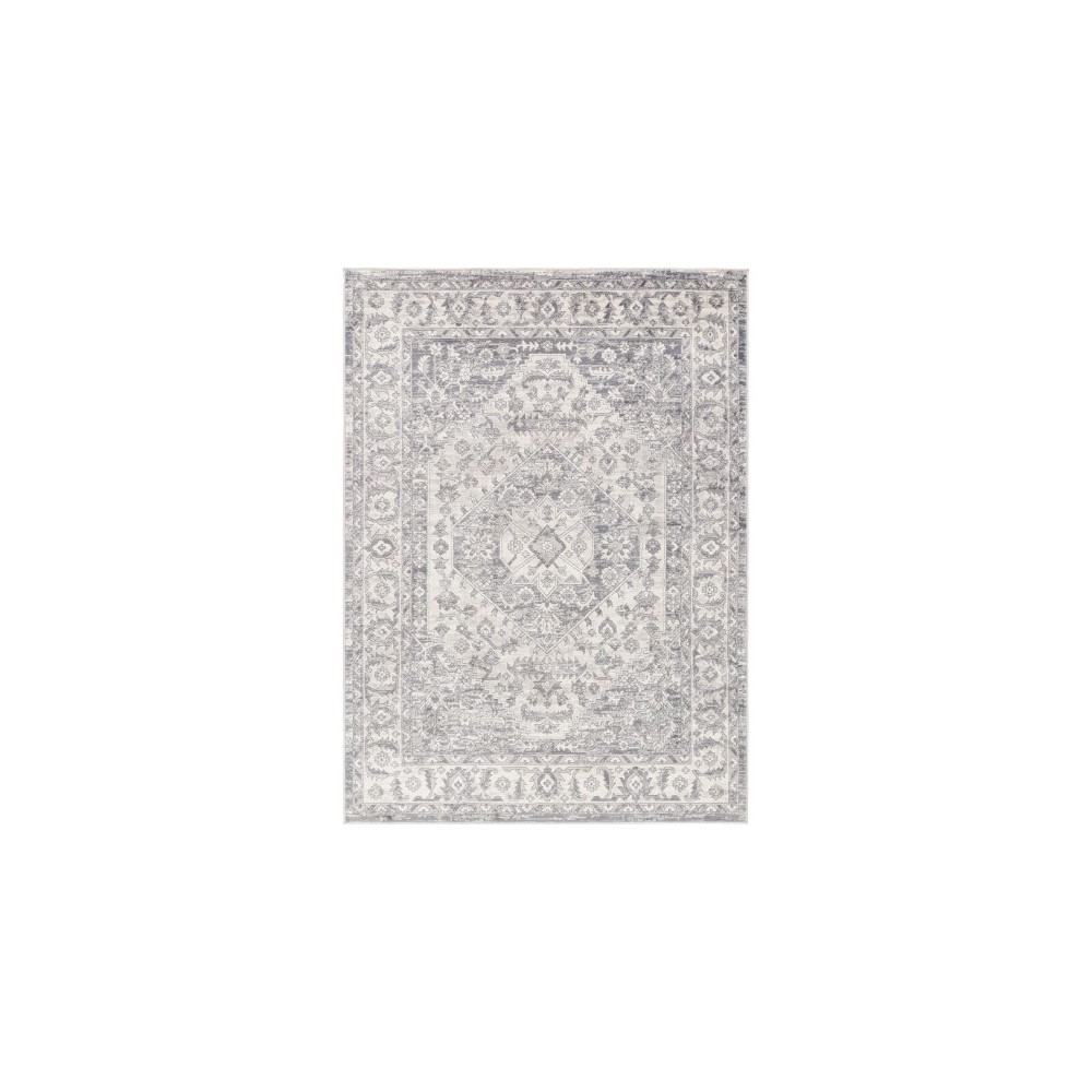 Surya Alamo Alo-2303 Rug 7'10" X 10'