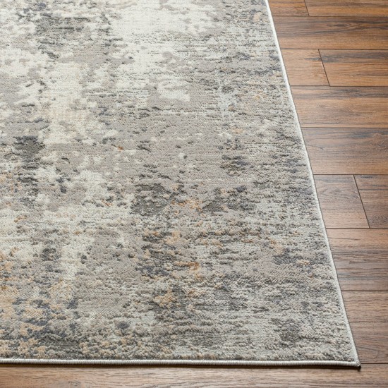 Surya Alamo Alo-2304 Rug 7'10" X 10'