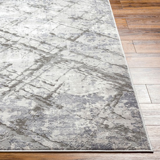 Surya Alamo Alo-2312 Rug 7'10" X 10'