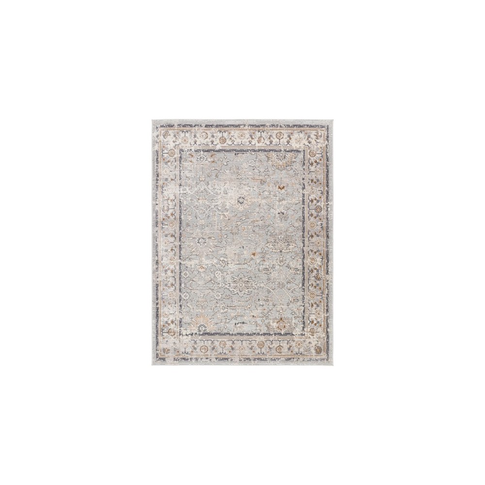 Surya Alamo Alo-2316 Rug 5'3" X 7'