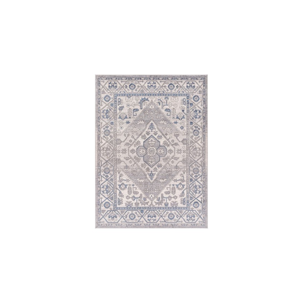 Surya Alamo Alo-2318 Rug 7'10" X 10'