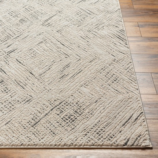 Surya Alder Ald-2313 Rug 23" X 45"