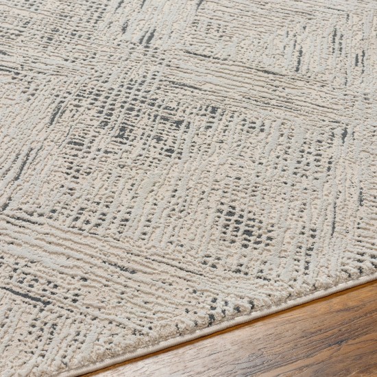 Surya Alder Ald-2313 Rug 23" X 45"