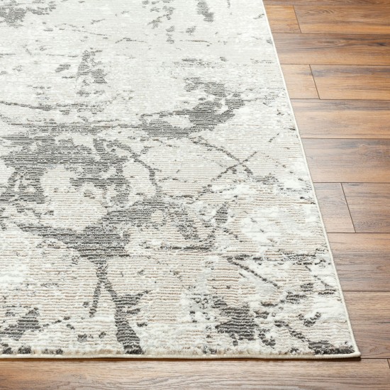 Surya Alder Ald-2314 Rug 23" X 45"