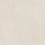 Surya Alfombra Afb-2301 Rug 2'3" X 3'9"