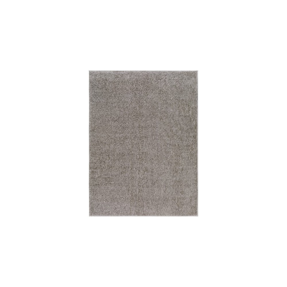 Surya Alfombra Afb-2302 Rug 2' X 3'