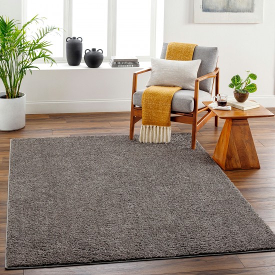 Surya Alfombra Afb-2302 Rug 2' X 3'