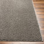 Surya Alfombra Afb-2302 Rug 2'7" X 7'3"
