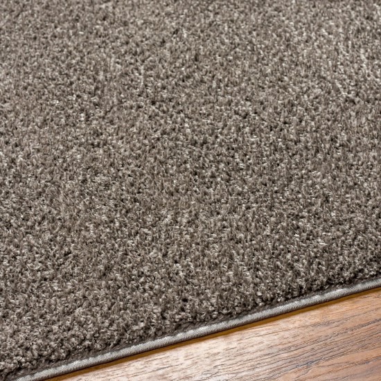Surya Alfombra Afb-2302 Rug 2'7" X 7'3"