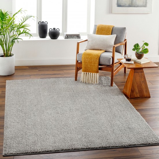 Surya Alfombra Afb-2303 Rug 2' X 3'