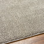 Surya Alfombra Afb-2303 Rug 2' X 3'