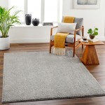 Surya Alfombra Afb-2303 Rug 2'3" X 3'9"