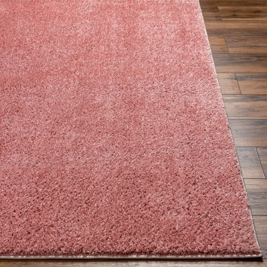 Surya Alfombra Afb-2304 Rug 2' X 3'