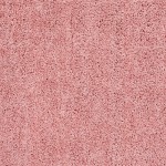 Surya Alfombra Afb-2304 Rug 2' X 3'