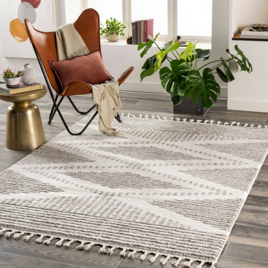 Surya Alhambra Rug 2'7" X 7'3" - Light Gray, Cream