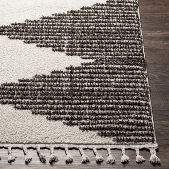 Surya Alhambra Rug 6'7" X 9' - Cream, Charcoal