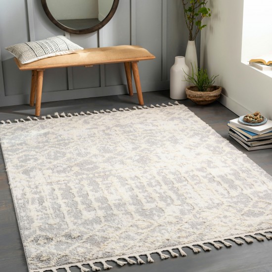 Surya Alhambra Rug 2'7" X 7'3" - Light Gray