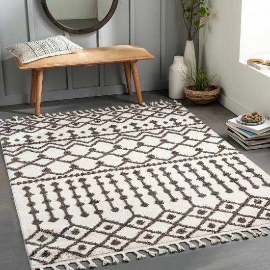 Surya Alhambra Rug 2'7" X 7'3" - Cream & Charcoal