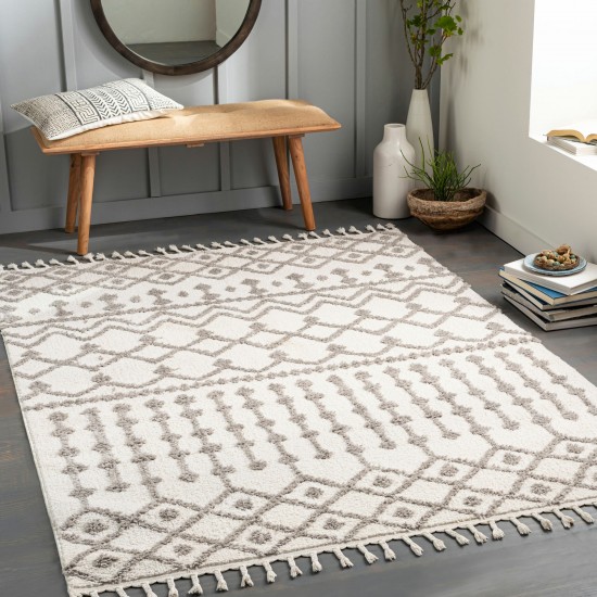 Surya Alhambra Rug 5'3" X 7' - Light Gray & Cream