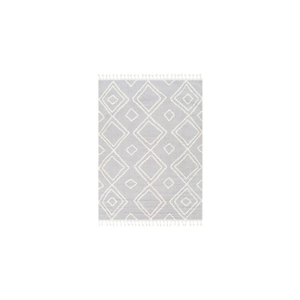 Surya Alhambra Light Gray Rug 2'7" X 7'3"