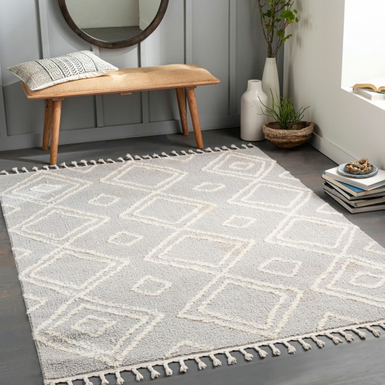 Surya Alhambra Light Gray Rug 2'7" X 7'3"