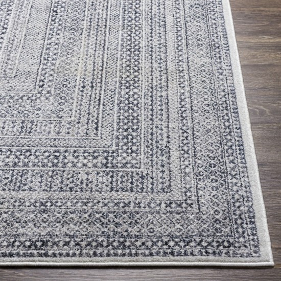 Surya Alice Medium Gray Rug 8'10" X 12'