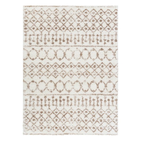 Surya Aliyah Shag Tan Rug 2' X 3'