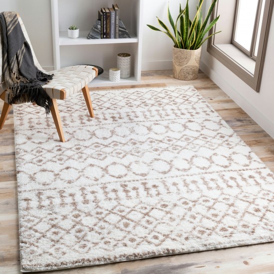 Surya Aliyah Shag Tan Rug 2' X 3'