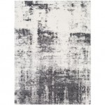 Surya Aliyah Shag Rug 2' X 3' Light Gray