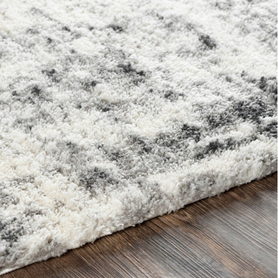 Surya Aliyah Shag Rug 5'3" X 7'3" Light Gray