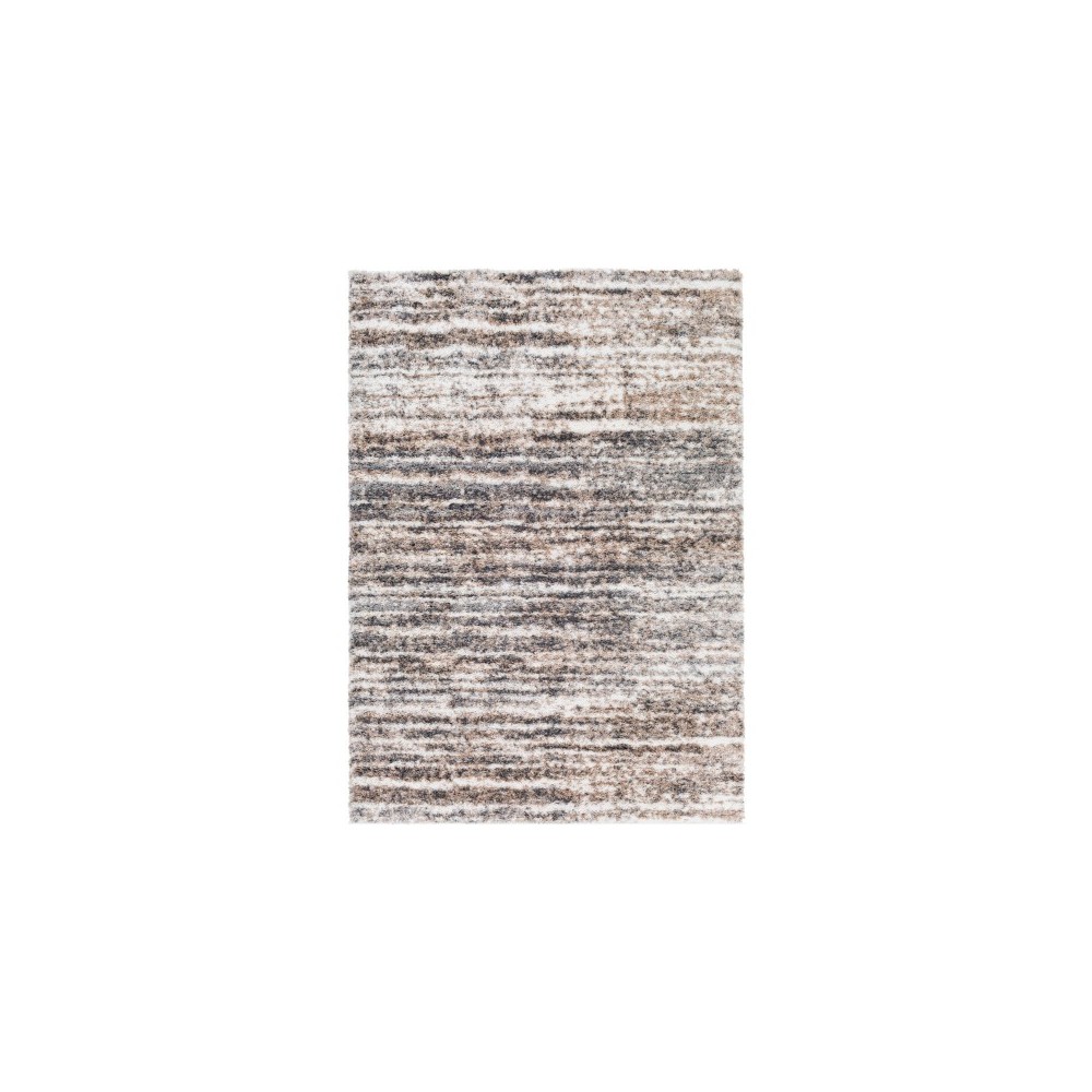 Surya Aliyah Shag Charcoal Rug 2' X 3'