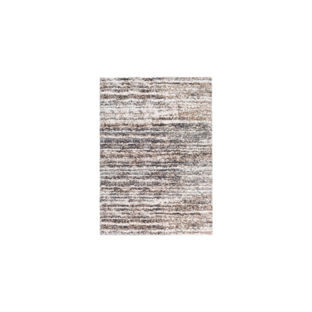 Surya Aliyah Shag Charcoal Rug 6'7" X 9' Surya Aliyah Shag Charcoal Rug 6'7" X 9'