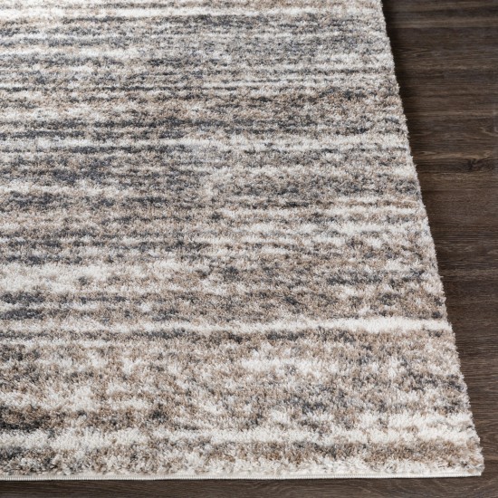 Surya Aliyah Shag Charcoal Rug 6'7" X 9'