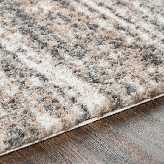 Surya Aliyah Shag Charcoal Rug 6'7" X 9'