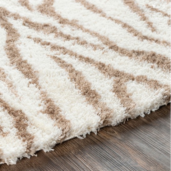 Surya Aliyah Shag Rug 2' X 3' - Cream, Tan