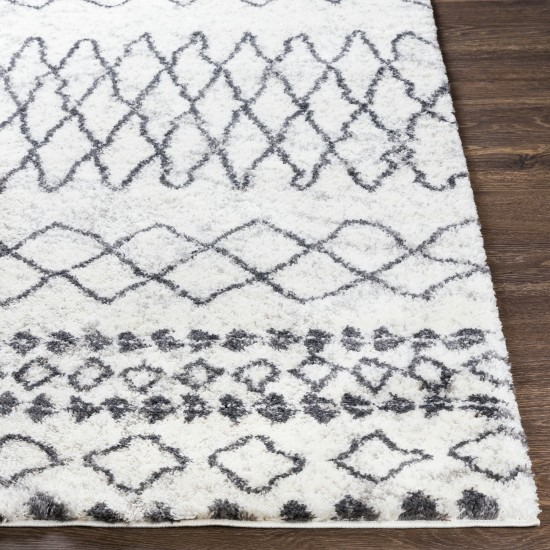 Surya Aliyah Shag Rug 5'3" X 7'3" Gray