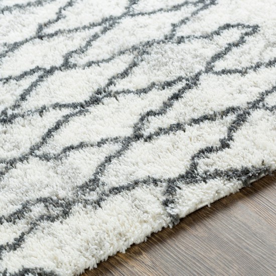 Surya Aliyah Shag Rug 5'3" X 7'3" Gray
