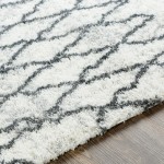 Surya Aliyah Shag Rug 6'7" X 9' Gray