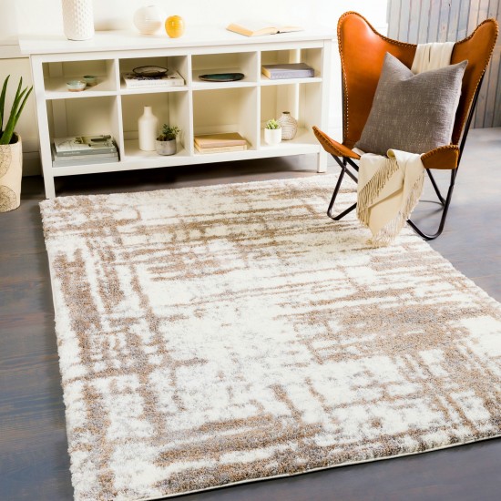 Surya Aliyah Shag Rug 2' X 3' - Cream & Tan