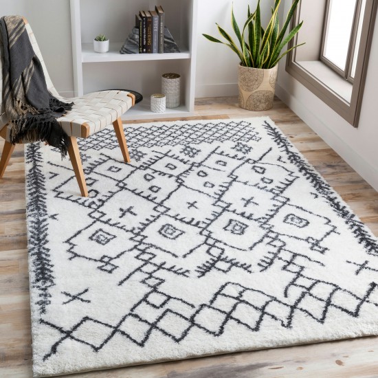 Surya Aliyah Shag Rug 2' X 3' - Cream & Charcoal